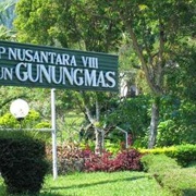 Gunung Mas