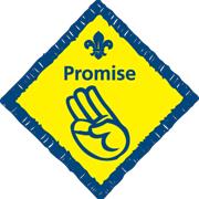 Promise Challenge Badge