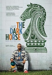 The Dark Horse (2016)