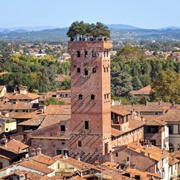Guinigi Tower, Lucca