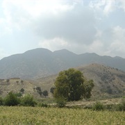 Tora Bora