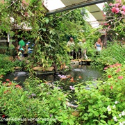 Visit Butterfly World