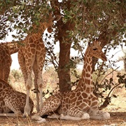 W National Park, Benin