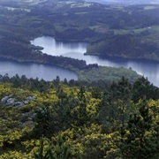 Fragas Do Eume Natural Park, Spain