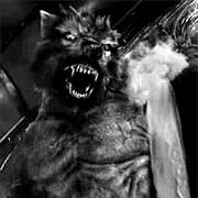 Hæmovariform Werewolf