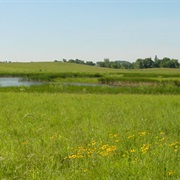 Minnesota Valley Wetland Management District
