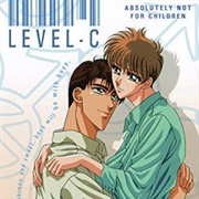 Level C