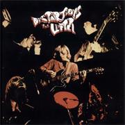 Litter - Distorsions