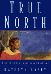 True North