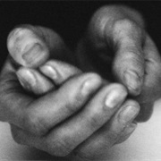 Give Food to the Homeless