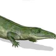 Champsosaurus