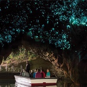 Waitomo Caves, New Zealand