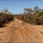 Little Desert National Park (VIC)