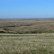 Grand River National Grassland
