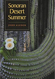 Sonoran Desert Summer (John Alcock)