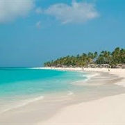 Divi Beach - Aruba