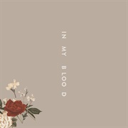 In My Blood by Shawn Mendes