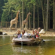 Dierenpark Amersfoort, Netherlands