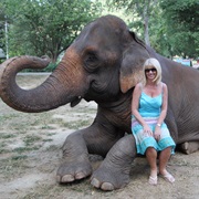 Sit on an Elephant