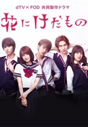 Hana Ni Keda Mono (2017)