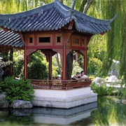 Chinese Gardens