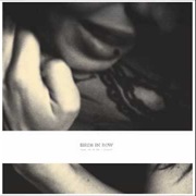 Birds in Row - You, Me & the Violence