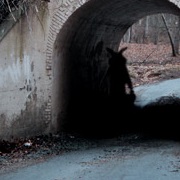 Bunnyman Cryptid, Fairfax, Virginia