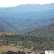 Mt. Rogers, Virginia