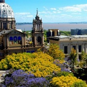 Porto Alegre