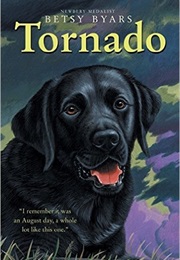 Tornado (Betsy Byars)