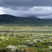 Dovre National Park