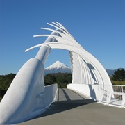 Te Rewa Rewa Bridge