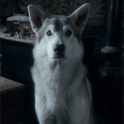 Nymeria