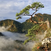 Pieniny Mountains, Slovakia