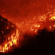 Wildfires