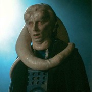 Bib Fortuna