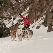 Ride a Dogsled Through the Backcountry Terrain of Montana