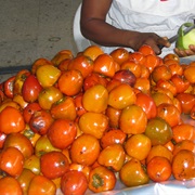 Peach-Palm (Bactris Gasipaes)