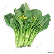 Choi Sum
