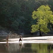 Village Creek State Park, Texas