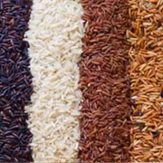 Rice
