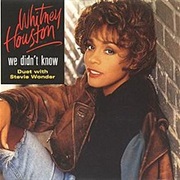 Whitney Houston - We Didn't Know (Ft Stevie Wonder)