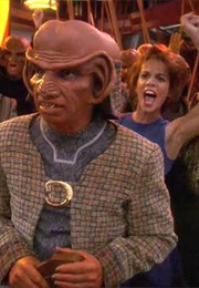 Bar Association (1996)