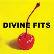 Divine Fits- A Thing Called the Divine Fits