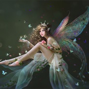 Fairy