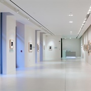 The Wilderness Society Gallery