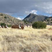 Fort Bowie National Historic Site