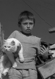 Couro De Gato (1962)