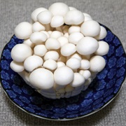 Buna Shimeji (Hypsizygus Tessellatus)