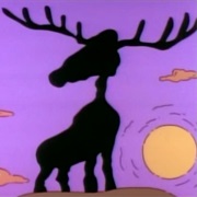 Moose Country